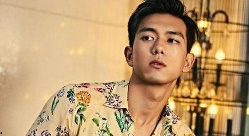 娱乐吃瓜老牌男星是谁呀,吃瓜群众热议的“老牌男星”究竟是谁?