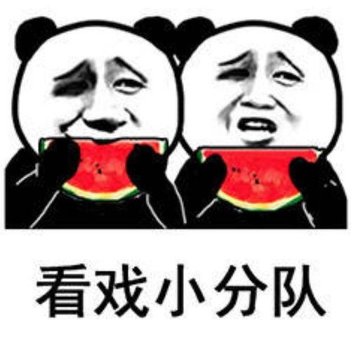 娱乐圈吃瓜的表情包,笑料百出!